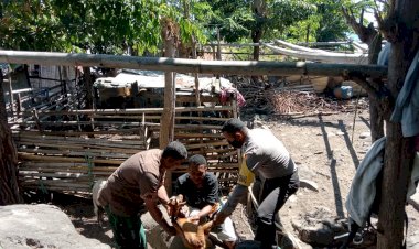 Bhabinkamtibmas-Bersama-Koordinator-Peternakan-Sambangi-Peternakan-Kambing-Di-Desa-Kalikur.