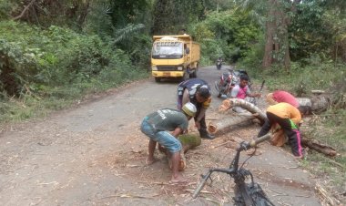 Bhabinkamtibmas-Bersama-Warga-Bahu-Membahu-Evakuasi-Pohon-Tumbang