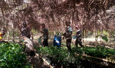 Kapolsek-Omesuri-Iptu-I-Made-Sedanayasa-bersama-semua-elemen-masyarakat-kedang-tanam-100-Pohon