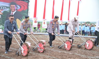 *Permudah-Petani-Jual-Hasil-Panen,-Polda-Kalbar-dan-Pemkab-Bengkayang-Bangun-Pabrik-Jagung*