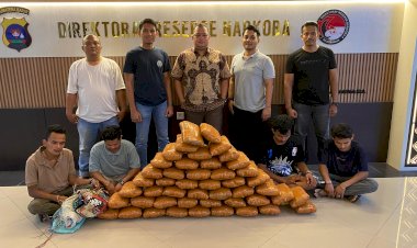 Polisi-Gagalkan-Peredaran-47-Kg-Ganja-di-Sumbar,-4-Tersangka-Ditangkap