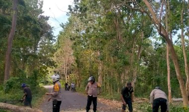 Gerak-Cepat-Kapolsek-Nagawutung-Bersama-Bhabinkamtibmas-Bersihkan-Pohon-Tumbang,-Akses-Jalan-Loang–Pasir-Putih-Kembali-Lancar.