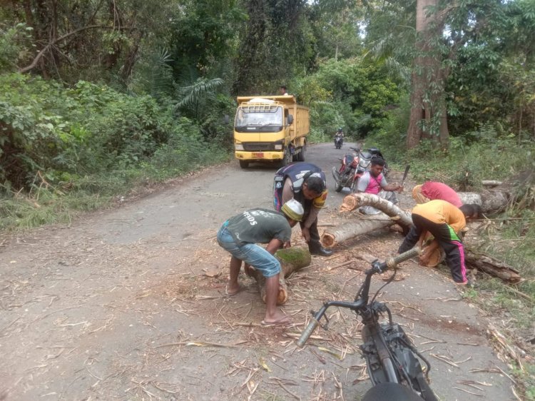 Bhabinkamtibmas Bersama Warga Bahu-Membahu Evakuasi Pohon Tumbang