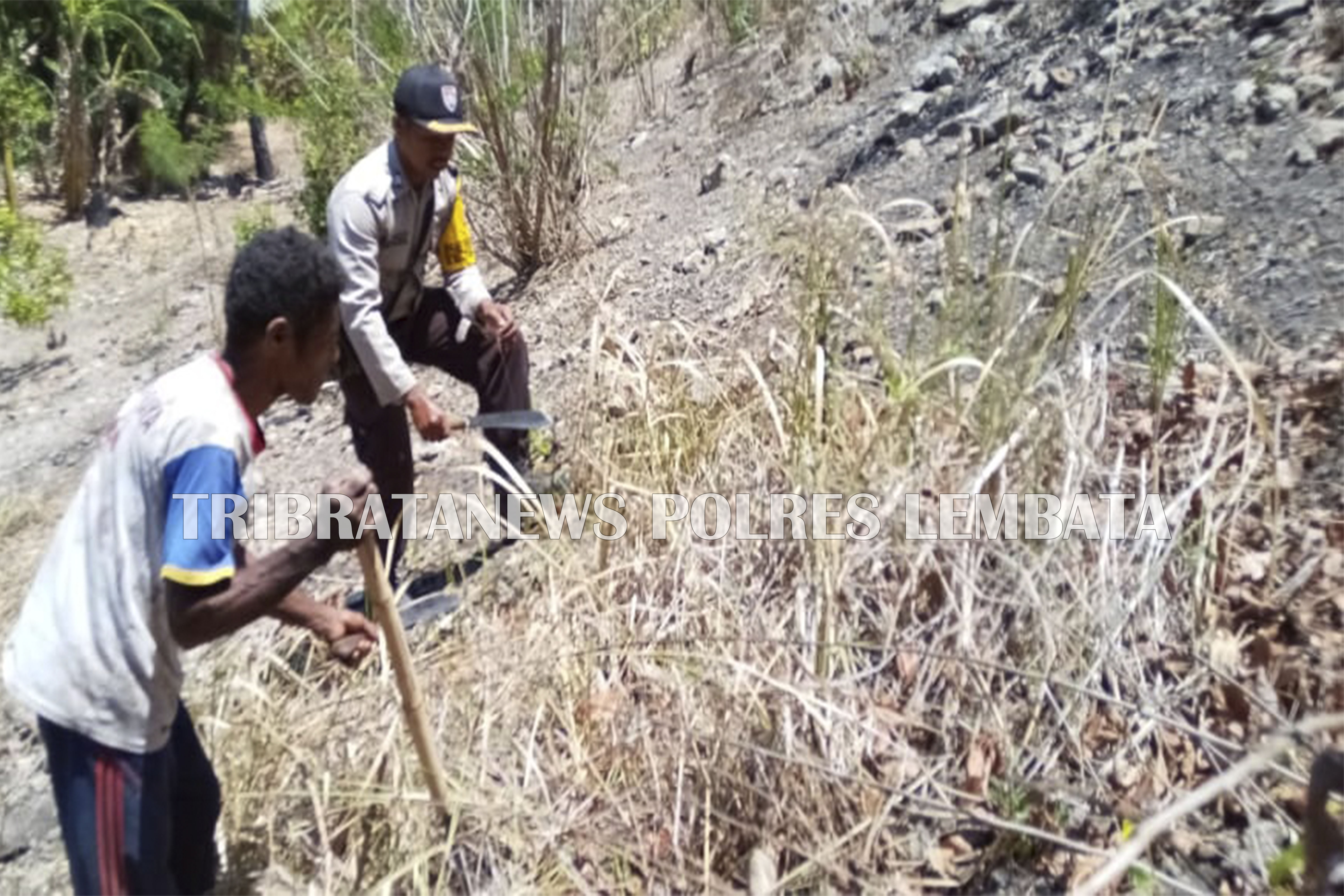 BRIGPOL FIRMON TAMONOB BANTU WARGA BERSIHKAN KEBUN