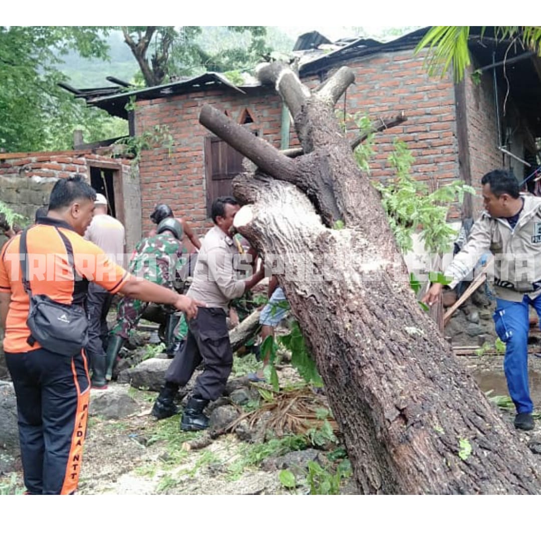 CUACA BURUK SEBABKAN KERUSAKAN PADA RUMAH WARGA, POLRES LEMBATA DENGAN SIGAP LAKUKAN INI