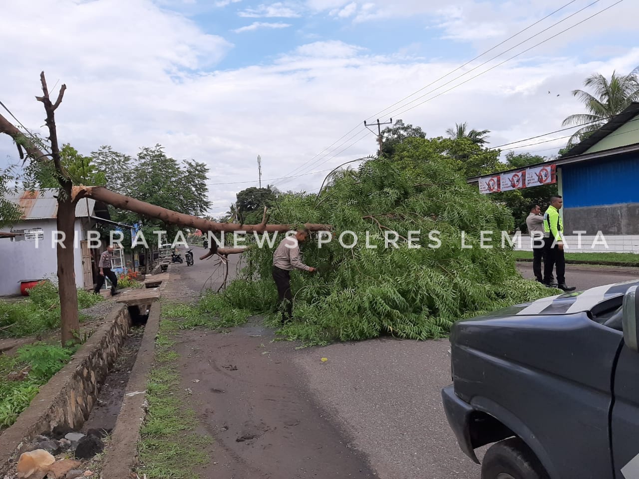 CEGAH KECELAKAAN, PIKET SPKT BERSAMA ANGGOTA SATGAS SIAGA BENCANA POLRES LEMBATA TEBANG DAN BERSIHKAN POHON YANG TUMBANG MENUTUPI JALAN