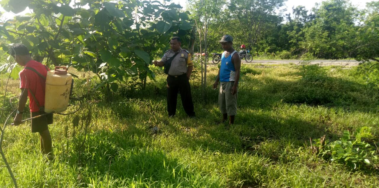 Mengantisipasi Penyakit Pada Musim Penghujan Bhabinkamtibmas Desa Balurebong Bripka Yoppi Da Cunha Himbau Warga Jaga Kebersihan Lingkungan